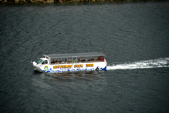 Amphib tourist boat