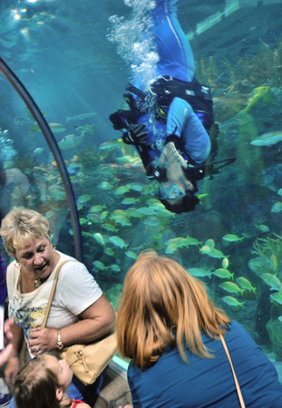 Audubon Aquarium